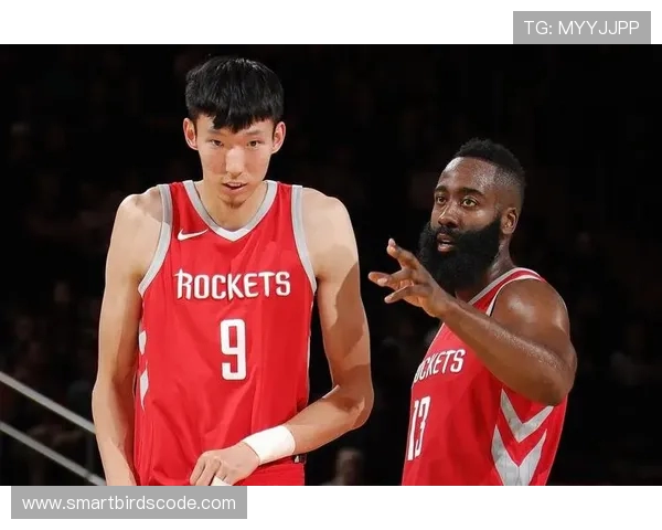 2015年NBA赛季火箭队表现回顾及阵容梳理 2015年NBA赛季火箭队表现回顾及阵容梳理