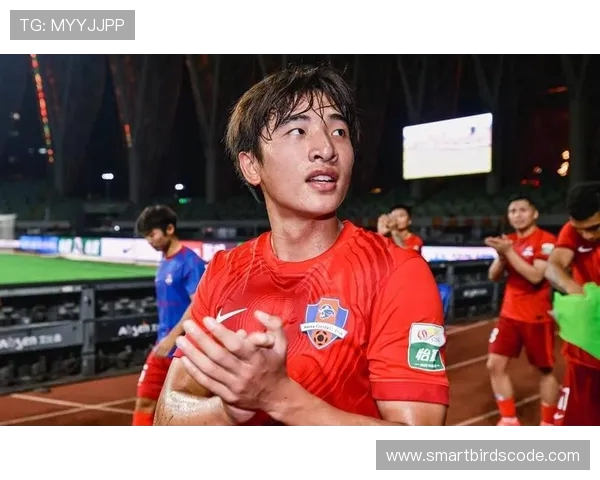 中国球员在法甲的比赛表现 中国球员在法甲的比赛表现