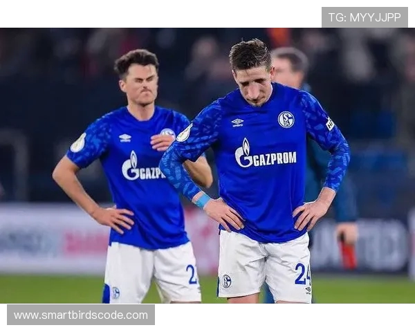 德甲各球队所在的主要城市与地域分布详解 德甲各球队所在的主要城市与地域分布详解