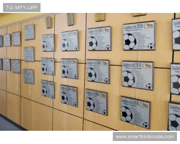 法甲顶级青训球员培养体系及成功案例