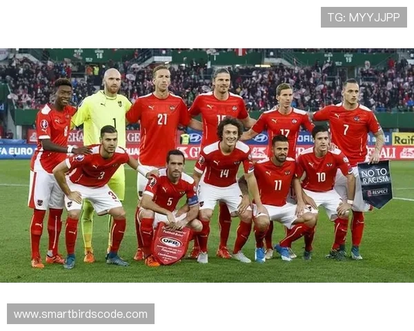 竞彩足球聚焦北爱尔兰对阵奥地利实力走势与投注解析前瞻策略全面解读