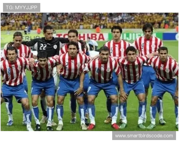 巴拉圭世界杯征程与南美足球荣耀传奇发展全景解析七十年历史风云 巴拉圭世界杯征程与南美足球荣耀传奇发展全景解析七十年历史风云