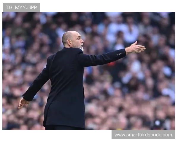 热刺主帅迪尼强调欧冠前八与降级无关需保持警惕